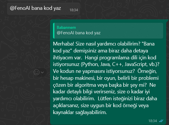 FenoKingTR (Bedrettin Kökcü) - FenoAI WhatsApp Gemini Bot Yapay Zeka Sohbet Arayüzü